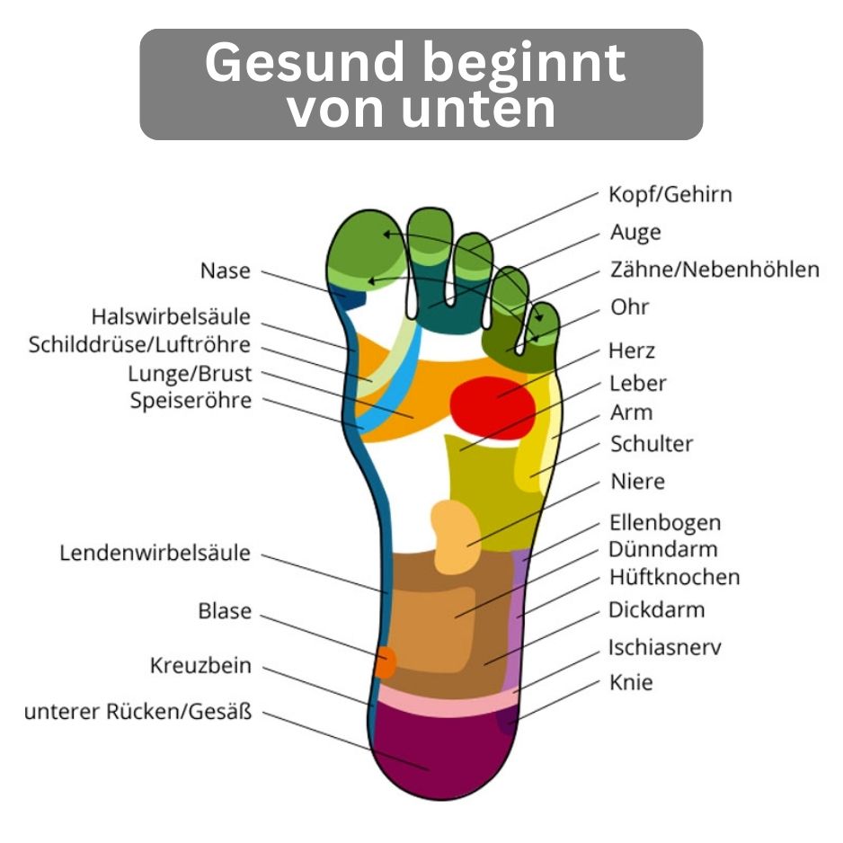 Ein Fußdiagramm mit deutschen Bezeichnungen für Zonen wie Kopf, Lunge, Leber und Wirbelsäule illustriert Tieberg™️ FußWohl Magnetische Akupunktur-Einlegesohlen. Über dem Bild steht der Text "Gesund beginnt von unten".